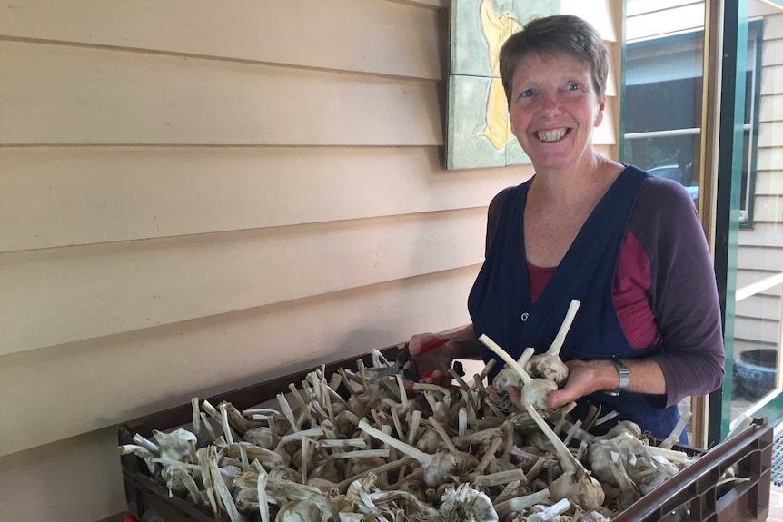 Kirsten Jones holds a tray of garlic