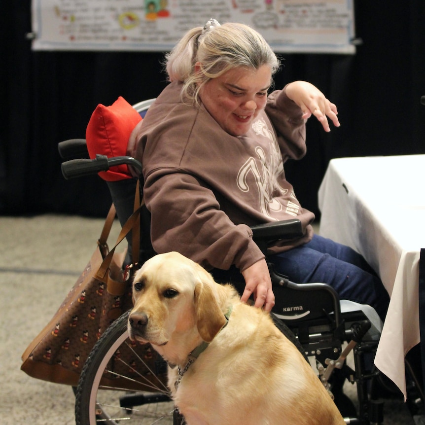 A woman sitting in a wheelchair next to a dog