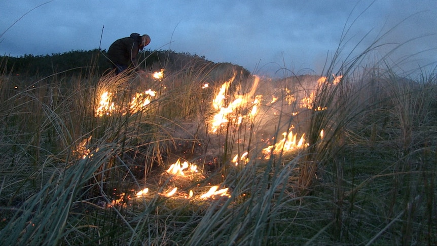 Grasslands burn on a cool, dark evening at the Indigenous Protected Area Preminghana