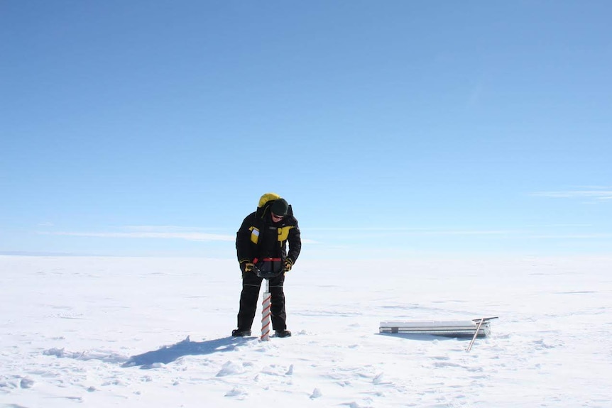 Glaciologist Dr Tas van Ommen demonstrating the process of ice-coring