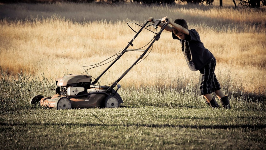 A boy pushes a mower, depicting the disadvantages of a grass yard.