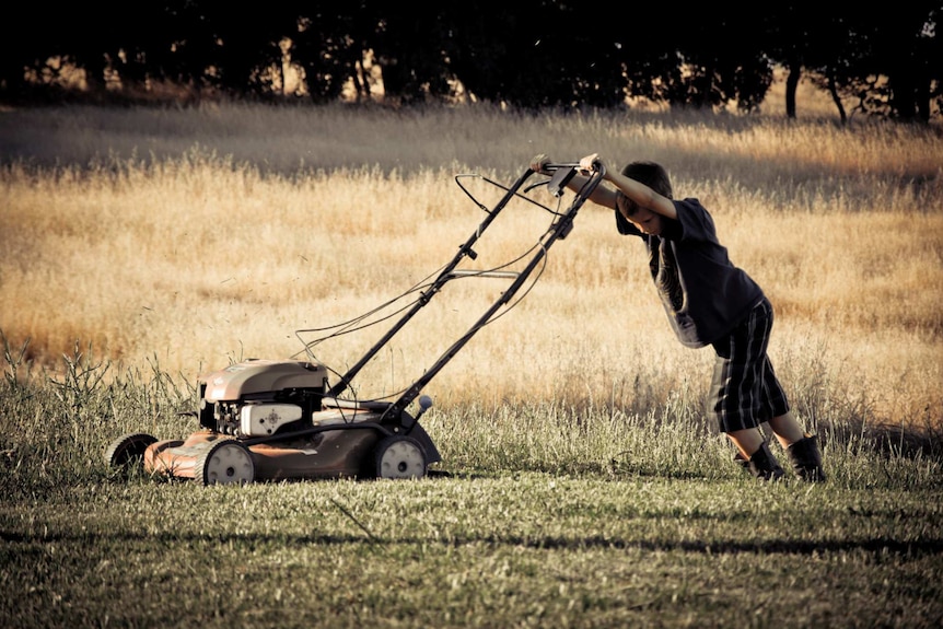 A boy pushes a mower, depicting the disadvantages of a grass yard.