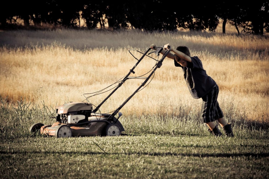 A boy pushes a mower, depicting the disadvantages of a grass yard.