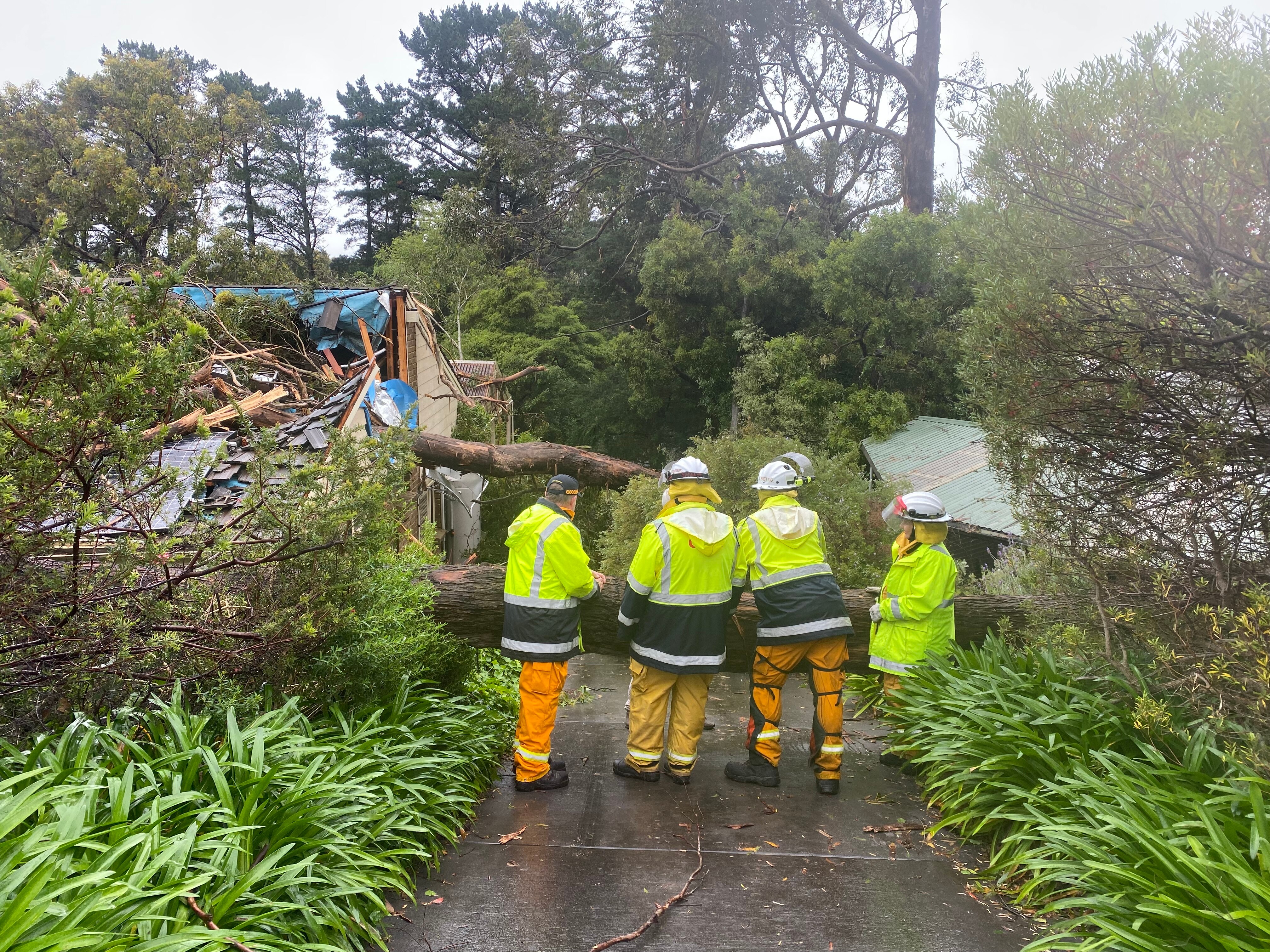 Wild Storms Force Closure Of More Than 50 Adelaide Schools, Tens Of ...