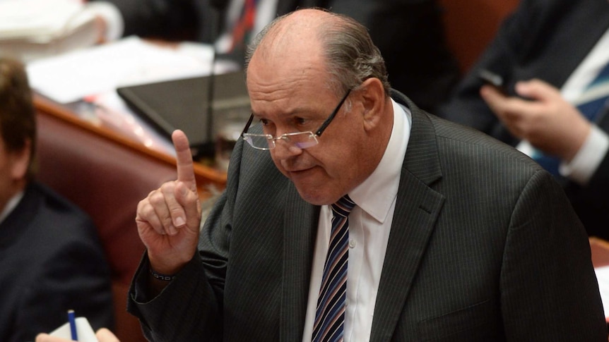 David Johnston speaks during Senate Question Time