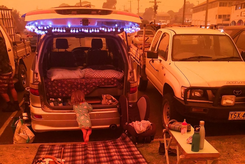 A van with its boot open, and a picnic blanket and small bed in the back, with a young child standing.
