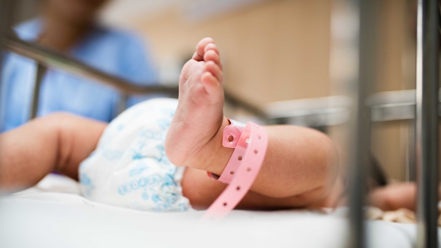 Newborn lying in hospital cot.