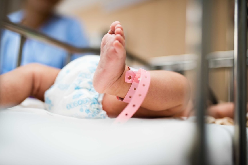 Newborn lying in hospital cot.