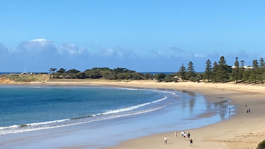 A long distance shot of people walking along a beach that curves around with trees under a blue sky