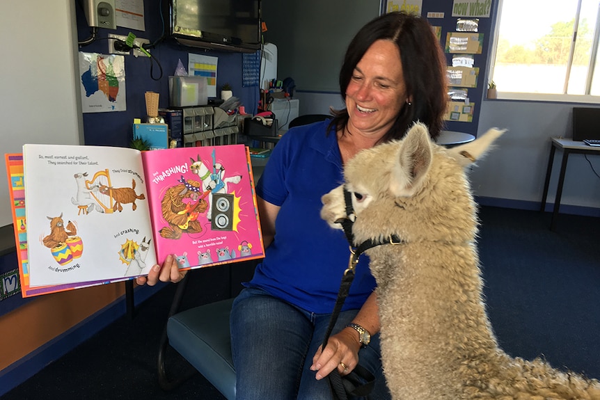 Michelle Malt reads to her alpaca Suyuna.