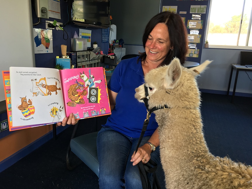 Michelle Malt reads to her alpaca Suyuna.