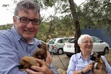 The new head of the RSPCA in Tasmania Peter West cuddles puppies.