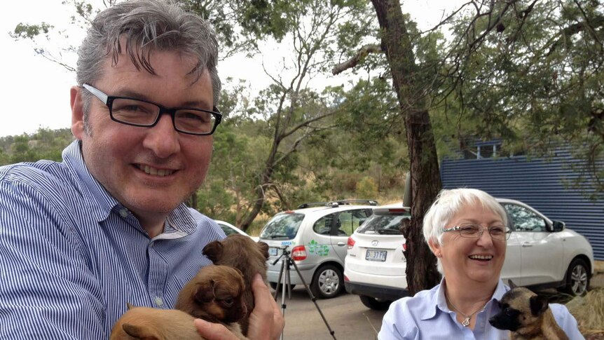The new head of the RSPCA in Tasmania Peter West cuddles puppies.