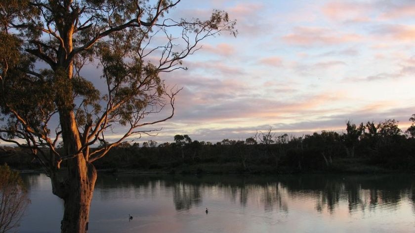 Murray at sunrise