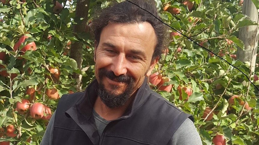 Fruit grower Bo Silverstein stands in his orchard near Shepparton.