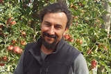 Fruit grower Bo Silverstein stands in his orchard near Shepparton.