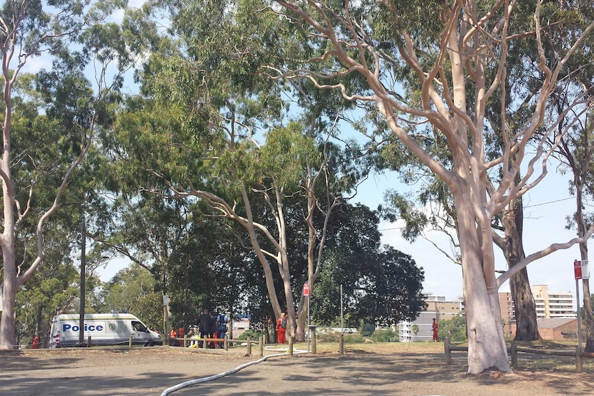 Parramatta Park, where Prahba Arun Kumar, 41, was stabbed