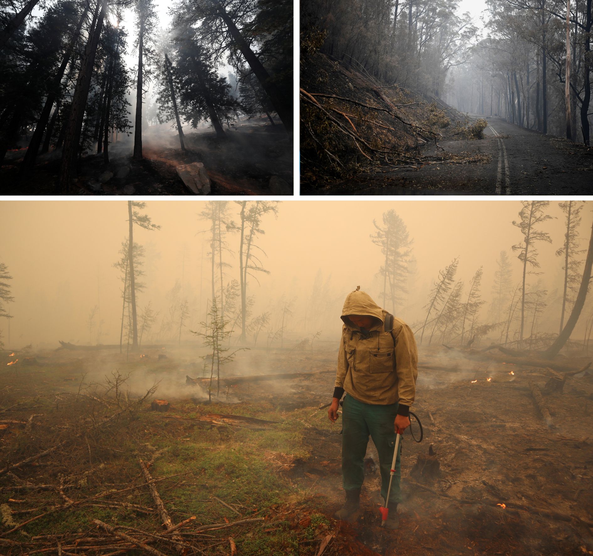 Three photos showing burnt landscape in California, Australia and Siberia during each of their megafires