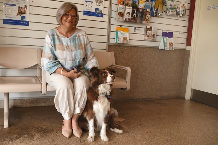 A smiling older woman with a well-groomed grey bob, wears pale checked top,  cream pants, sits with a border collie in a clinic.