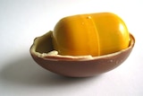 A halved Kinder Surprise chocolate egg, with a toy inside a plastic shell.
