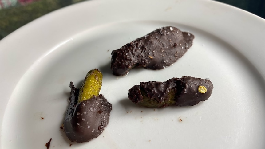 A white plate with three pickles dipped in chocolate