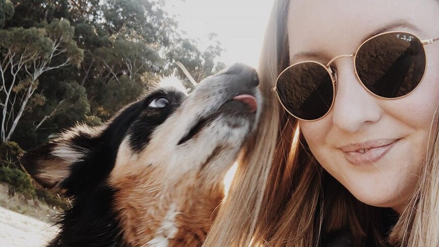 A selfie of a blonde woman wearing sunglasses, with a black tan and white kelpie licking her cheek