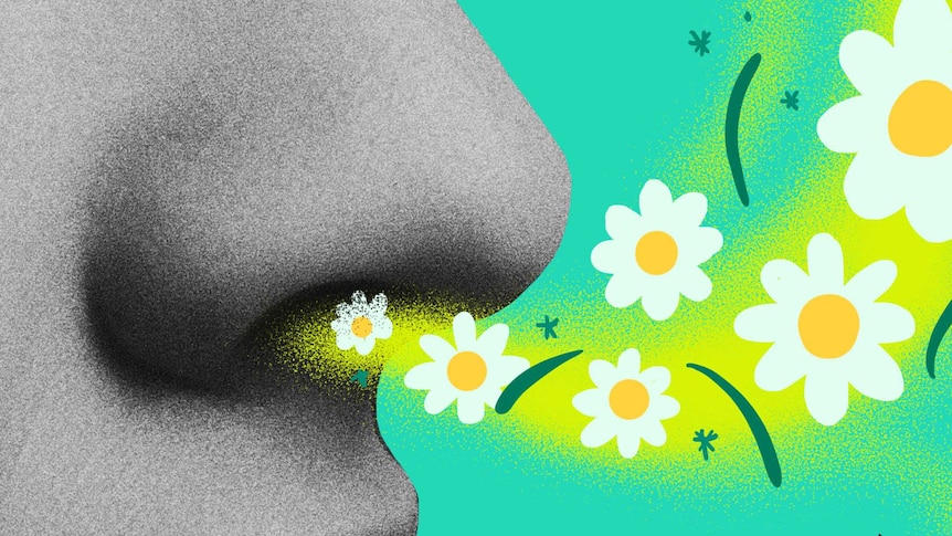 Illustration of nose with flowers and pollen for a story on common myths about hay fever