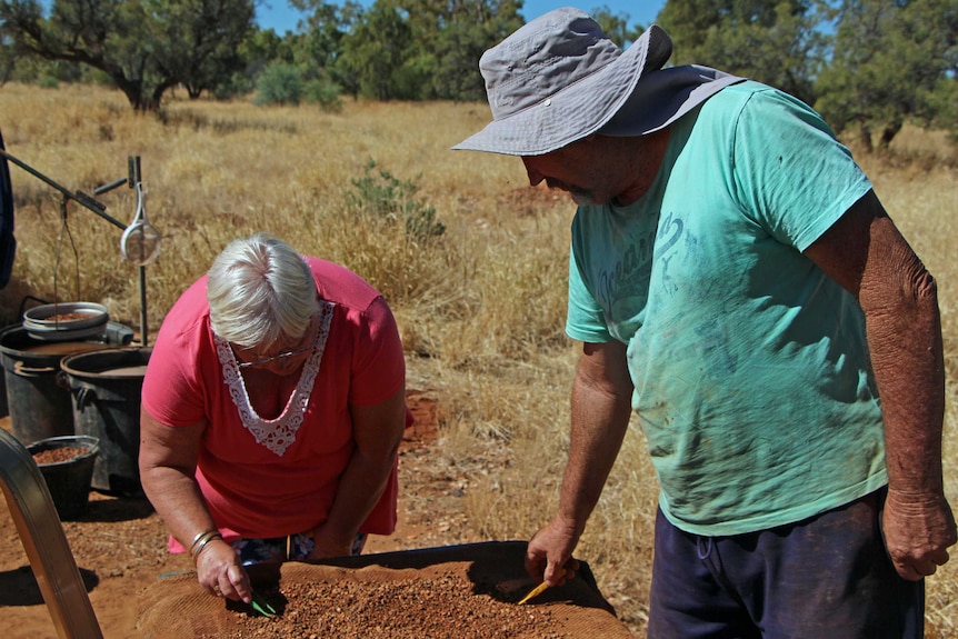 A woman and man use tweezers to sort through red rocks.