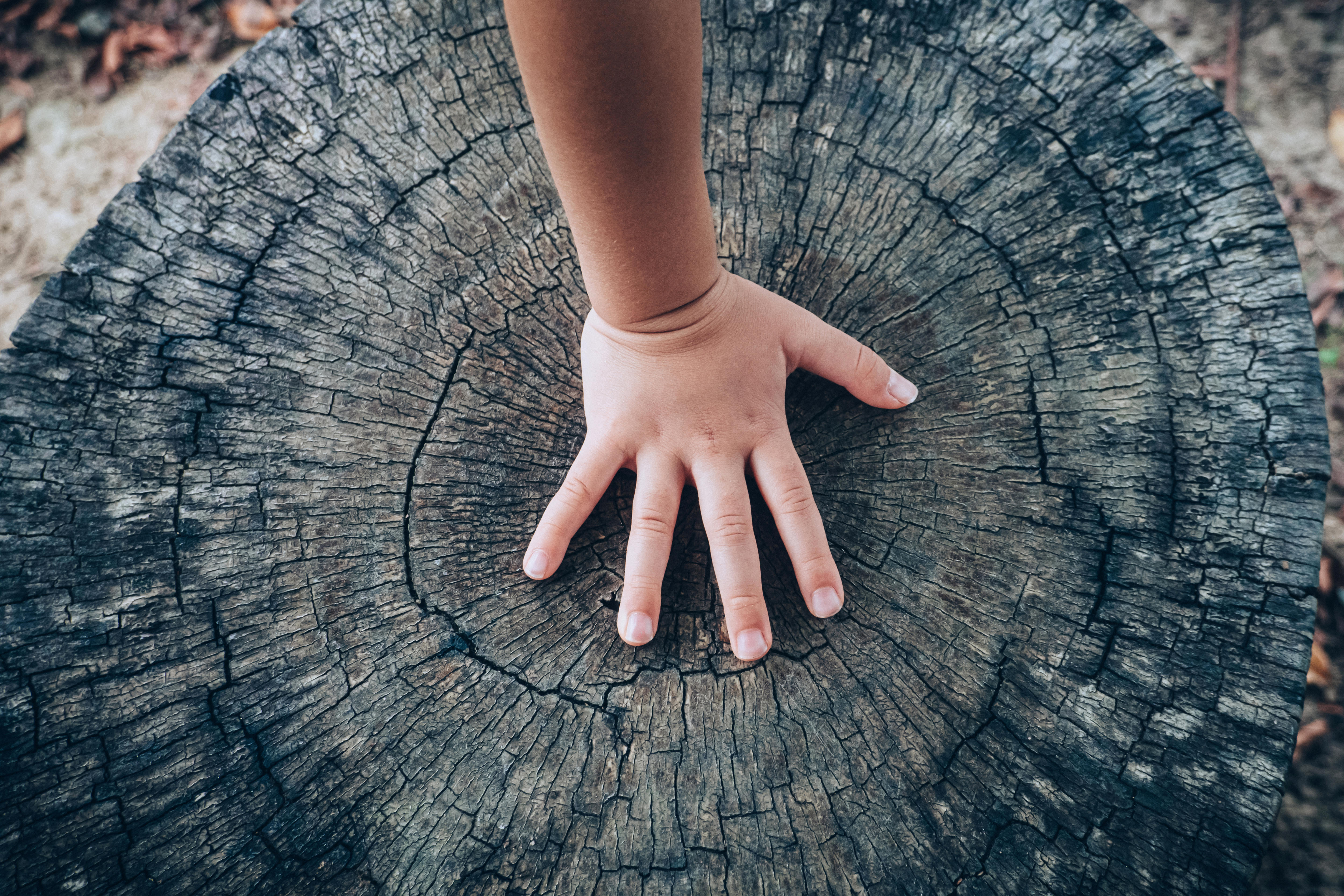 Does hope have a future? Remembering what it means to be human in a ...