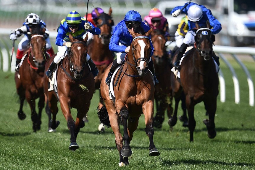 Hartnell wins the Turnbull Stakes