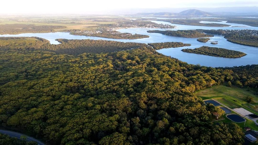 an aerial view Culburra 