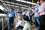 A group of international delegates from ag health and medicine conference on a farm visit.