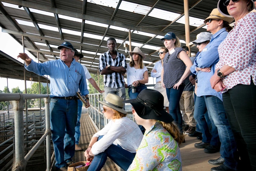 A group of international delegates from ag health and medicine conference on a farm visit.