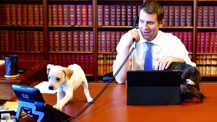 Mike Baird lets a puppy play on his desk.
