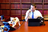 Mike Baird lets a puppy play on his desk.