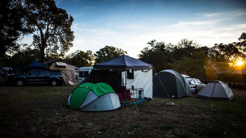 array of camping tents within bush surrounds