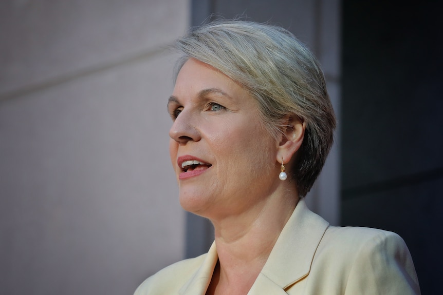 Tanya Plibersek, with short grey hair, stands speaking.