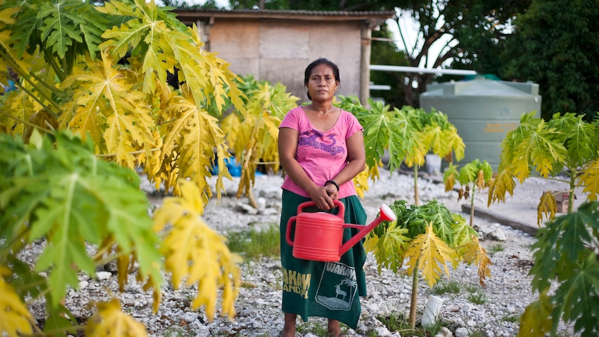 Hetagi Lotomahana in her pawpaw plantation.