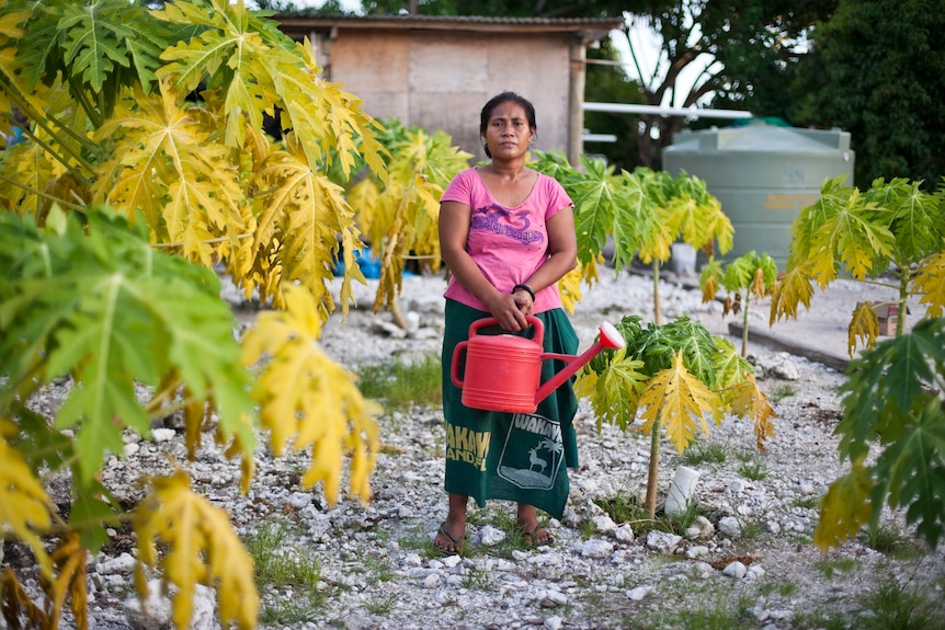 Hetagi Lotomahana in her pawpaw plantation.