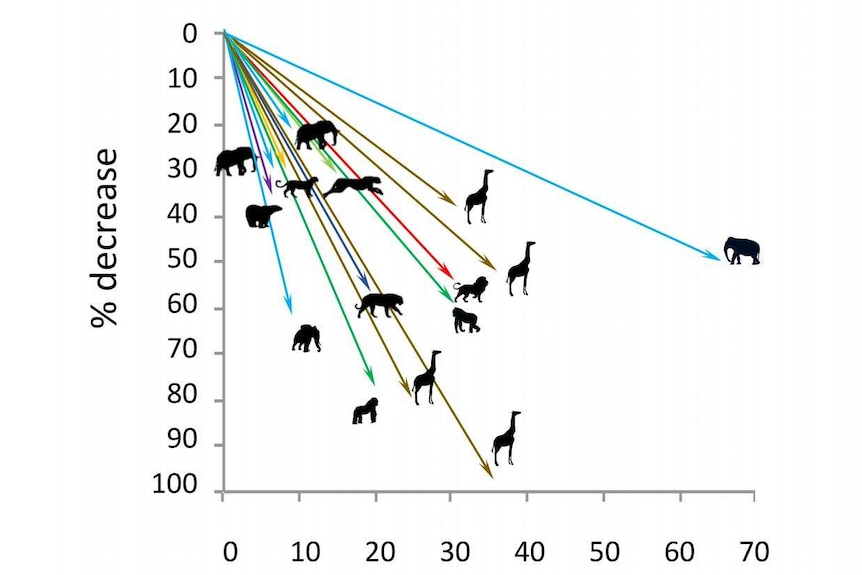 Endangered animals chart from PLOS Biology