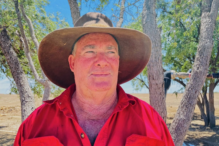 Grazier Cameron Tindall standing in front of trees