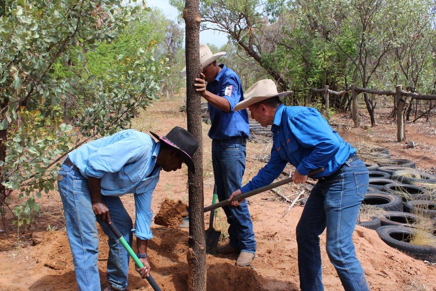 Tony Abbott digging with Indigenous trainees