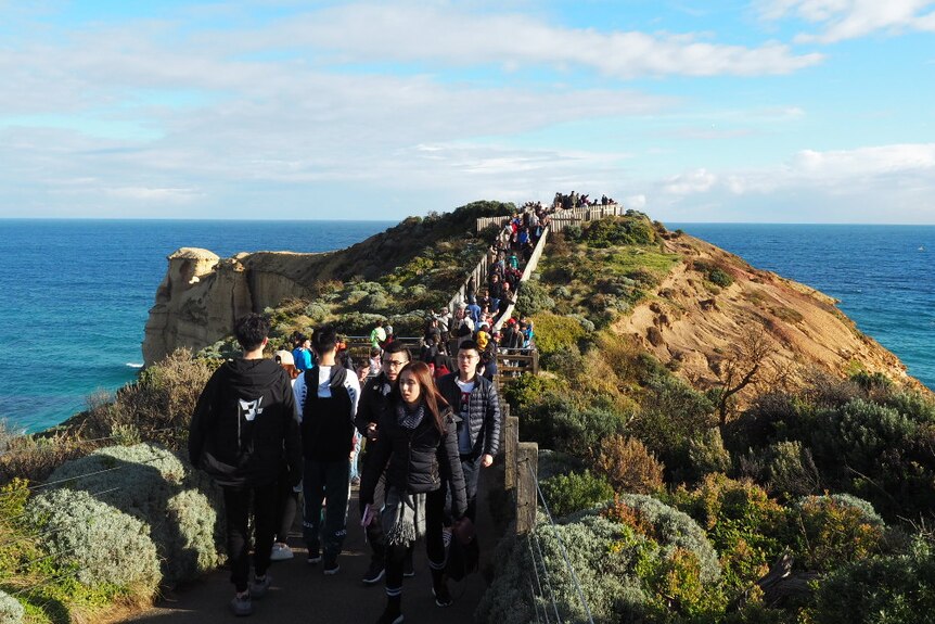 A crowded path leads out to a viewing platform on a headland by the ocean.