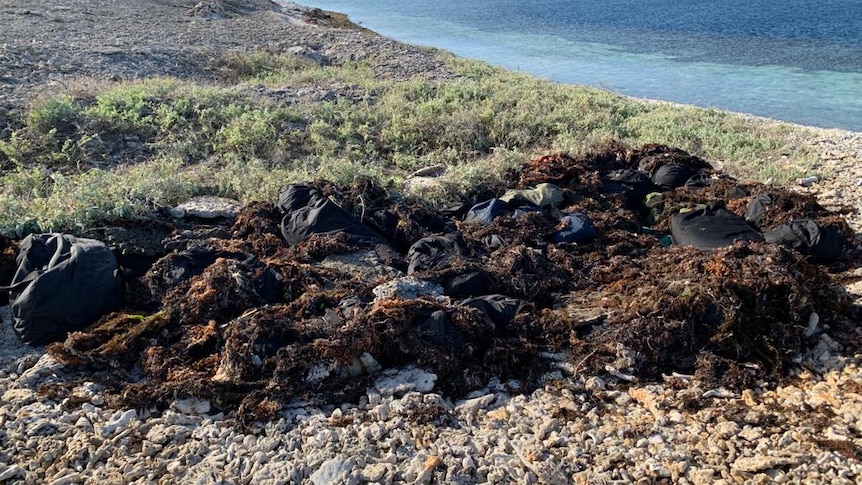 A wide shot of black bags covered in seaweed on an island with the shoreline nearby.