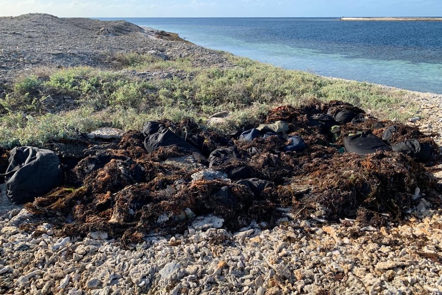 A wide shot of black bags covered in seaweed on an island with the shoreline nearby.