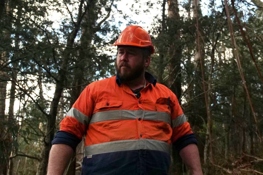 A man in orange and blue workwear stands in a forest.