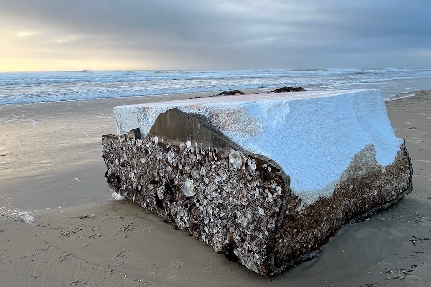 A large block of polystyrene partially covered in barnacles on a beach at sunrise