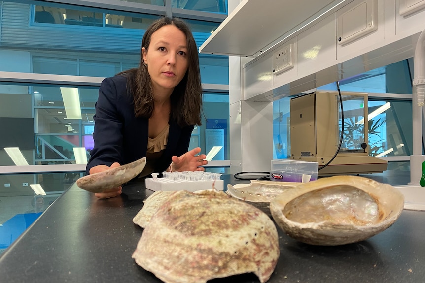 A woman in black blazer reaching for shellfish samples placed on lab table