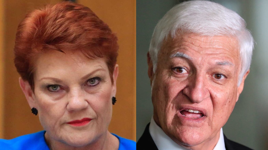 Composite image showing Pauline Hanson's face with stern expression on left, Bob Katter mid speech, serious expression on right
