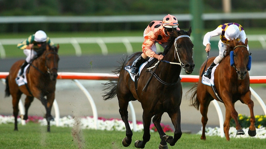 Black Caviar records her 17th win